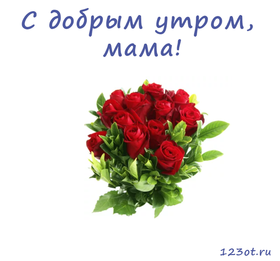 Открытка с добрым утром, мама! Букетик красных роз. Красные розы. Открытка для мамы! Доброе утро! скачать открытку бесплатно | 123ot