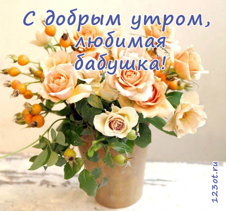 Открытка с добрым утром, бабушка! Цветы в горшке. Цветы в вазе. Оранжевые цветы. Открытка для бабушки! Доброе утро! скачать открытку бесплатно | 123ot