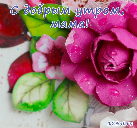 Открытка с добрым утром, мама! Открытка для мамы! Малиновый цветок для мамы. Малиновый цвет. Доброе утро! скачать открытку бесплатно | 123ot