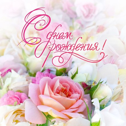 Найти актуальную открытку с днём рождения женщине (цветы)! Поделиться в facebook!
