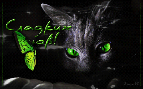 Кот с зелеными глазами! Гиф с пожеланием спокойной ночи, пожелания спокойной ночи гифы, гиф картинки пожелания спокойной ночи, красивые гифы с пожеланием спокойной ночи! скачать открытку бесплатно | 123ot
