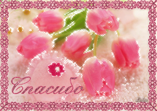 Открытка, картинка. Анимационные открытки. Красивые розовые тюльпаны для тебя! скачать открытку бесплатно | 123ot