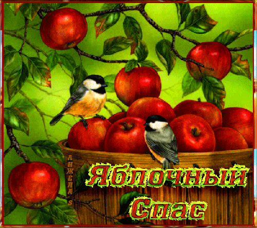 Открытка, картинка гиф, гифка, gif с поздравлением с яблочным с пасом. Яблочный спас. Скачать открытку, картинку с красными яблоками и птичками. Синички. скачать открытку бесплатно | 123ot