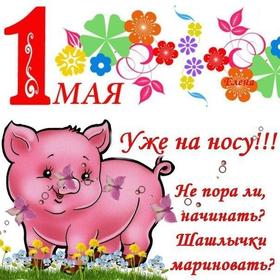 Весёлая открытка, картинка на 1 мая, Первомай! Свинья! Свинка! Поросеночек! Хрю-хрю! скачать открытку бесплатно | 123ot