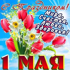 Открытка День весны и труда, мир, труд, май, праздник! 1 мая, Первомай! Тюльпаны! скачать открытку бесплатно | 123ot
