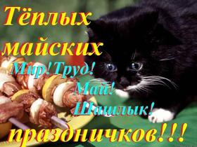 Открытка, картинка с котом на 1 мая! Чёрный кот с голубыми глазами! скачать открытку бесплатно | 123ot