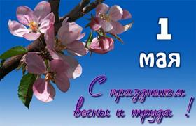 Открытка с цветами яблони на 1 мая, картинка с небом и цветами, 1 мая, Первомай, праздник, День весны и труда, поздравление! Мир, труд, май! скачать открытку бесплатно | 123ot