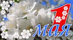 Открытка 1 мая, картинка, 1 мая, Первомай, праздник, День весны и труда, цветы, яблоня, весна пришла! скачать открытку бесплатно | 123ot