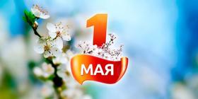 Открытка на 1 мая с цветами яблони и небом, картинка на 1 мая, Первомай, праздник, День весны и труда! Мир, труд, май! скачать открытку бесплатно | 123ot