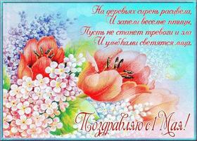 Открытка на 1 мая с красивыми тюльпанами, нежная картинка 1 мая, Первомай, цветы, праздник, День весны и труда, поздравление на майские праздники! скачать открытку бесплатно | 123ot
