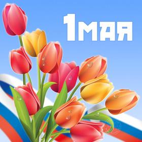 Открытка 1 мая, картинка, 1 мая, Первомай, праздник, День весны и труда, флаг России, поздравление, тюльпаны. скачать открытку бесплатно | 123ot