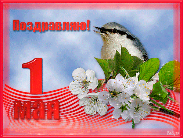 Красная открытка на 1 мая, праздник Первомай! Цветы яблони! Птичка! День весны и труда! Мир, труд, май! Поздравление на 1 мая! скачать открытку бесплатно | 123ot