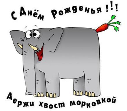 Прикольная открытка на день рождения Слон. Открытки  Прикольная открытка на день рождения Слон - хвост морковкой скачать бесплатно онлайн скачать открытку бесплатно | 123ot