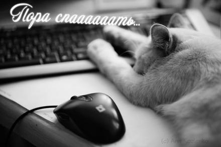 Открытка-фото спокойной ночи, пора спать, кот за компьютером, кот спит на клавиатуре, кот и мышка компьютерная. скачать открытку бесплатно | 123ot