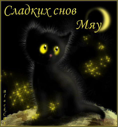 Красивая открытка гиф сладких снов, черный кот, звездная ночь, красивое пожелание... спокойной ночи. скачать открытку бесплатно | 123ot