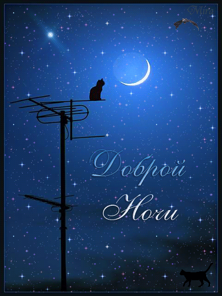 Красивая открытка, гиф, анимация, доброй ночи, открытка с ночными черными котами, звездное небо, сияющая луна. скачать открытку бесплатно | 123ot