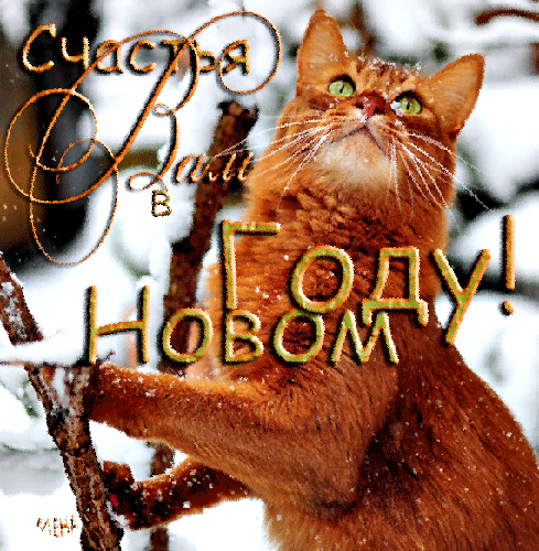Анимационная открытка на Новый Год кот. Открытки  Анимационная открытка на Новый Год Рыжий кот скачать бесплатно онлайн скачать открытку бесплатно | 123ot