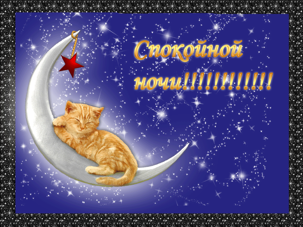Открытка GIF, анимация, красивая открытка спокойной ночи с котенком, месяцем, луной, звездами! Звездной небо, кот! Спокойной ночи! скачать открытку бесплатно | 123ot