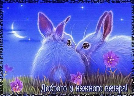 Открытка Доброго и нежного вечера! Кролики, зайцы. Луна, месяц в небе, белая ночь! Вечер! Приятного вечера! скачать открытку бесплатно | 123ot