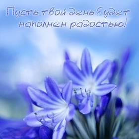 Открытка хорошего дня! Радостного дня! Голубые цветы. Синие цветочки. Пожелание хорошего дня! Отличного, прекрасного дня! скачать открытку бесплатно | 123ot