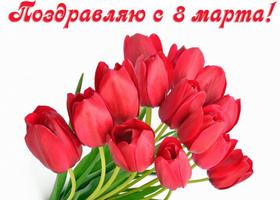 Открытка на 8 Марта Нежные тюльпаны. Открытки  Открытка на 8 Марта Нежные розовые тюльпаны скачать бесплатно онлайн скачать открытку бесплатно | 123ot