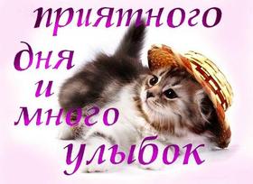 Открытка хорошего дня! Приятного дня и много улыбок! Пушистый серый котёнок в соломенной шляпке! Пожелание хорошего дня! Отличного, прекрасного дня! скачать открытку бесплатно | 123ot