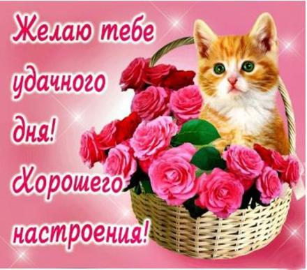 Открытка хорошего дня! Удачного настроения! Кот! Розы! Пожелание хорошего дня! Отличного, прекрасного дня! скачать открытку бесплатно | 123ot