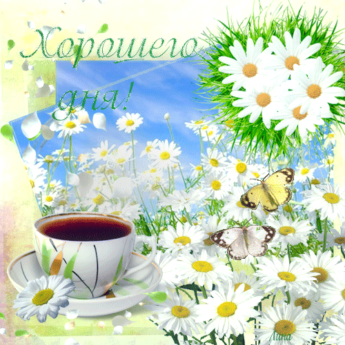 Открытка хорошего дня! Светлого дня! Чай, ромашки, бабочки. Пожелание хорошего дня! Отличного, прекрасного дня! скачать открытку бесплатно | 123ot
