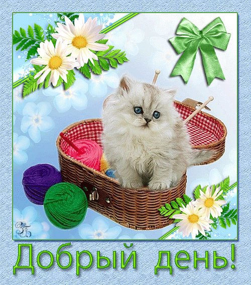 Открытка хорошего дня! Добрый день! Котенок с цветными клубочками! Пожелание хорошего дня! Отличного, прекрасного дня! скачать открытку бесплатно | 123ot