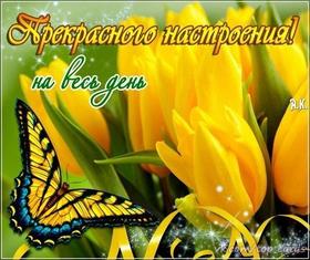 Открытка хорошего настроения, улыбайся, желтые тюльпаны, бабочки, пожелание отличного настроения! скачать открытку бесплатно | 123ot