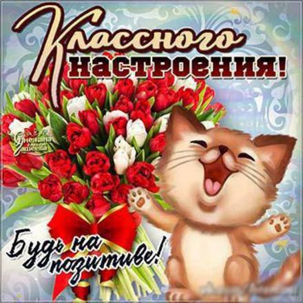 Открытка хорошего настроения, классного настроения, кот, тюльпаны, улыбайся, пожелание отличного настроения! скачать открытку бесплатно | 123ot