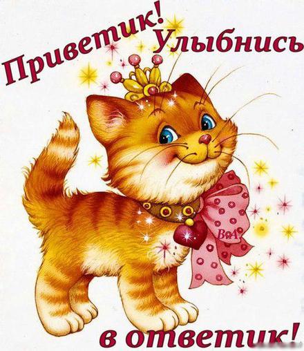 Открытка привет, приветик! Картинка привет, приветик! Королевская кошка! Кошка принцесса! скачать открытку бесплатно | 123ot