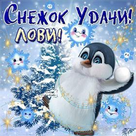Открытка удачи! Замечательного дня! Пожелание удачи! Пингвинчики, зима, новый год, снежки. скачать открытку бесплатно | 123ot