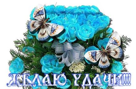 Открытка удачи! Шикарный, огромный, большой букет голубых, синих роз! Голубые розы! Пожелание удачи! Бабочки! скачать открытку бесплатно | 123ot