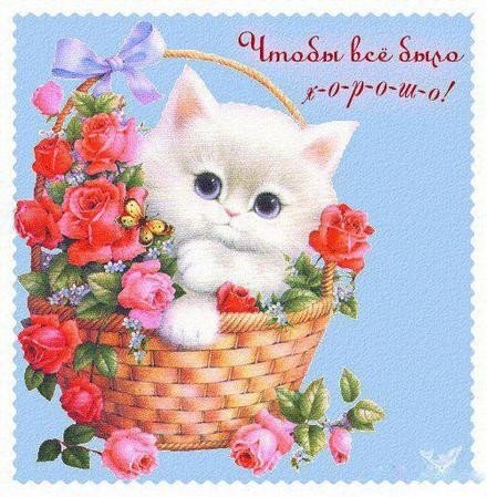 Открытка удачи для милой девушки! Красивого дня! Котеночек и розы! Пожелание удачи! скачать открытку бесплатно | 123ot