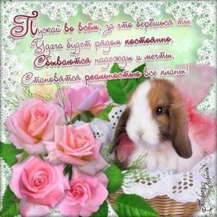 Открытка удачи! Весёлого дня! Розы и кролик! Пожелание удачи! скачать открытку бесплатно | 123ot