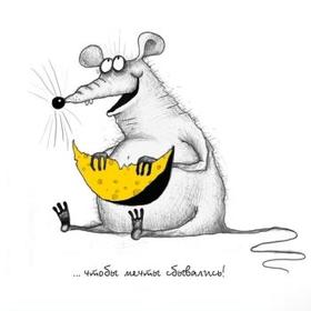 Прикольная открытка на счастье с сыром и мышой! Чтобы мечты сбывались! скачать открытку бесплатно | 123ot