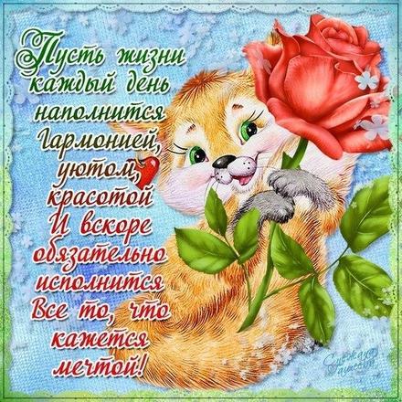 Открытка на счастье! Пожелание счастья! Рыжий котенок с розой! скачать открытку бесплатно | 123ot