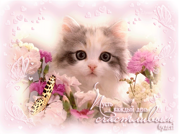 Открытка на счастье! Пожелание счастья Милый котенок в цветах! скачать открытку бесплатно | 123ot