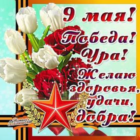 Открытка, картинка на 9 мая, День Победы, белые цветы, белые тюльпаны, поздравление с 9 мая! скачать открытку бесплатно | 123ot