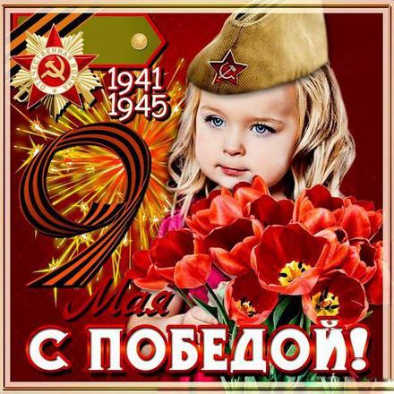 Открытка, красные тюльпаны, картинка на 9 мая, День Победы, поздравление с 9 мая! скачать открытку бесплатно | 123ot