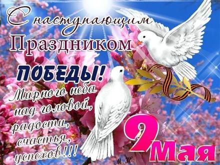 Открытка, голуби, картинка на 9 мая, День Победы, поздравление с 9 мая! скачать открытку бесплатно | 123ot