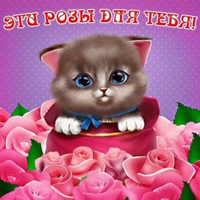 Самая милая открытка для Тебя, картинка Тебе, просто так, от всей души, для Тебя! Котик и розы! скачать открытку бесплатно | 123ot