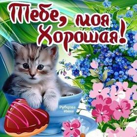 Милая открытка для Тебя, котенок в чашке, цветы, печенька, картинка Тебе, просто так, от всей души, для Тебя! скачать открытку бесплатно | 123ot