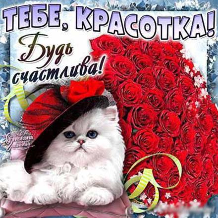 Открытка для Тебя, картинка Тебе, белый кот и красные розы, просто так, от всей души, для Тебя! скачать открытку бесплатно | 123ot