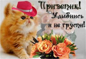 Открытка улыбнись, улыбайся, для Тебя, где твоя улыбка! Открытка с милым котиком в шляпке и цветами! скачать открытку бесплатно | 123ot